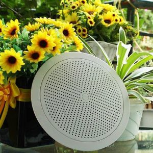 Loa âm trần DB TS301