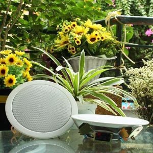 Loa âm trần DB TS303