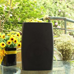 Loa hộp CS-503 30W