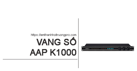 Vang số AAP K1000